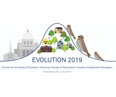 Evolution 2019 Logo